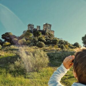 https://viajarescrecer.com/guia-completa-para-visitar-el-castillo-de-almodovar-del-rio-cordoba
