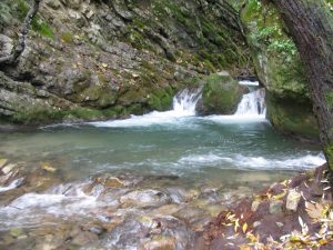 sendero-rio-majaceite-con-ninos