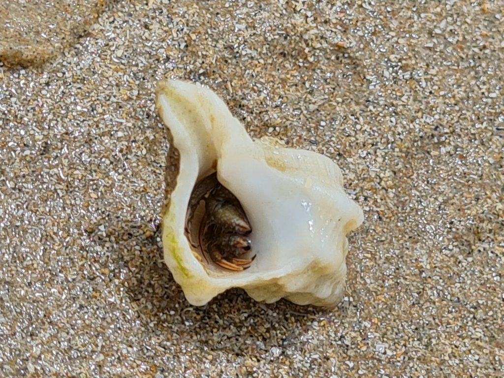 mejores-playas-de-huelva-con-ninos