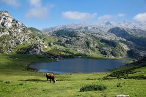 asturias-y-cantabria-en-quince-dias