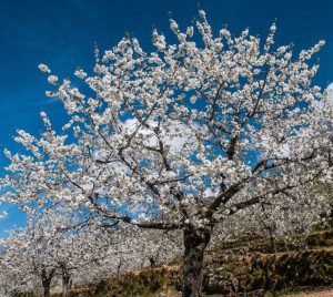 que ver en extremadura en 7 dias