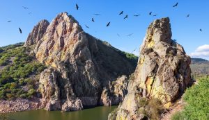 que ver en Monfragüe