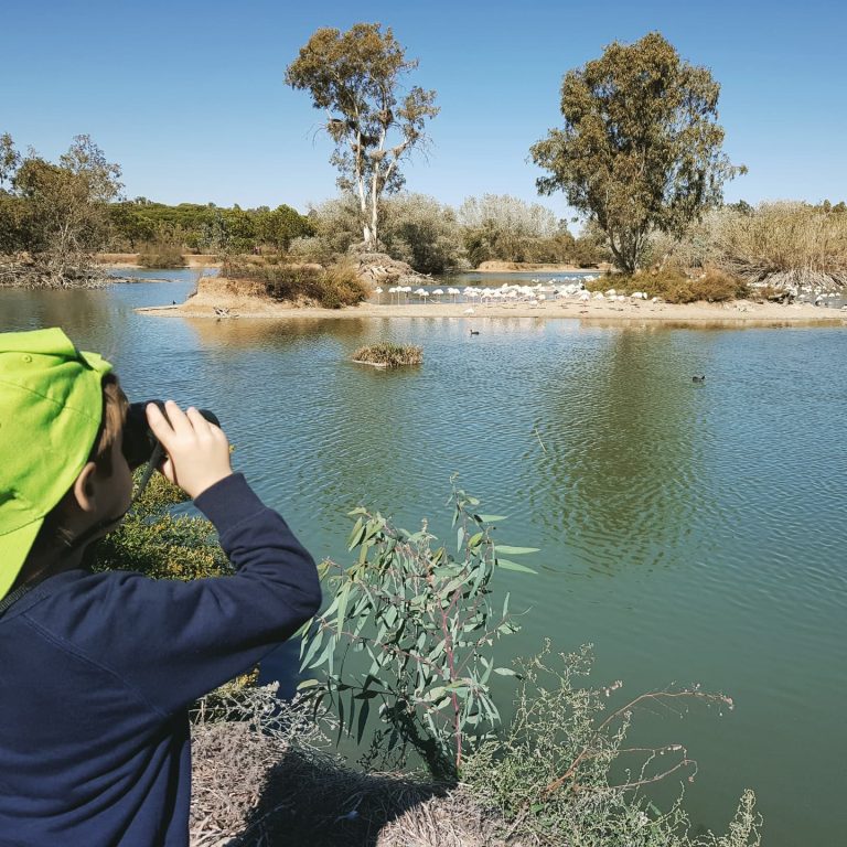 cañada de los pajaros sevilla