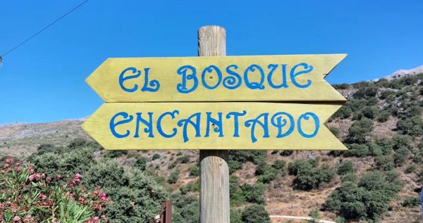 el bosque encantado málaga