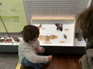 museos en madrid para ir con niños