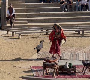 cetreria en puy do fou