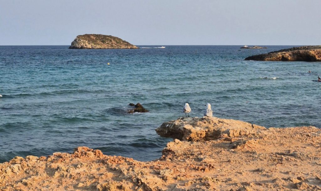 cala nova