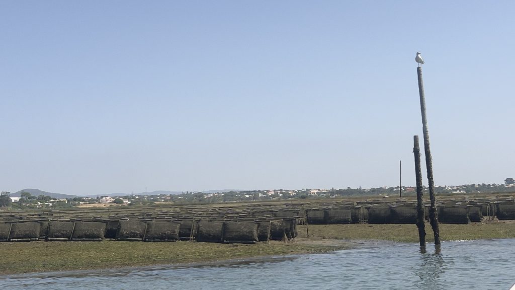 ria formosa