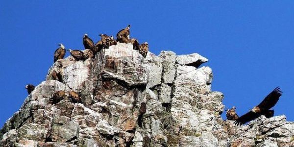 caceres y alrededores